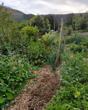 Soil Health