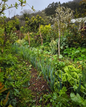 Horticultural Advisor