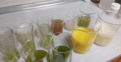 Regenerative farming courses