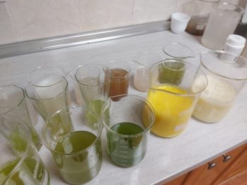 Regenerative farming courses