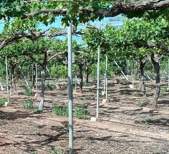 agricultura ecologica cursos