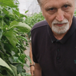 radko tichavsky