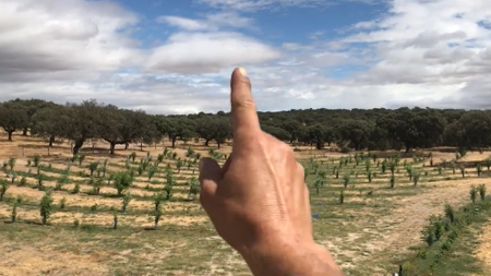 línea clave (keyline)