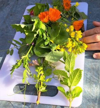 cultivos resilientes