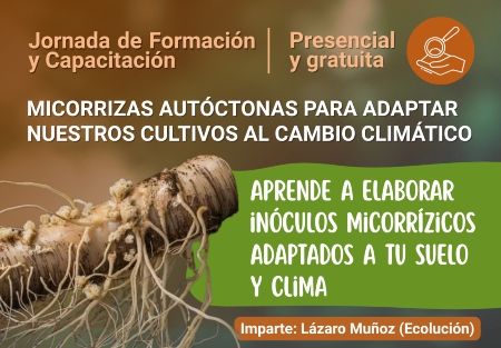 miguel angel llorente