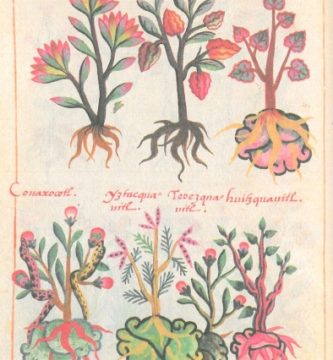 cosmovisión agrícola