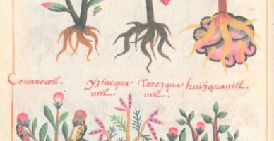 cosmovisión agrícola