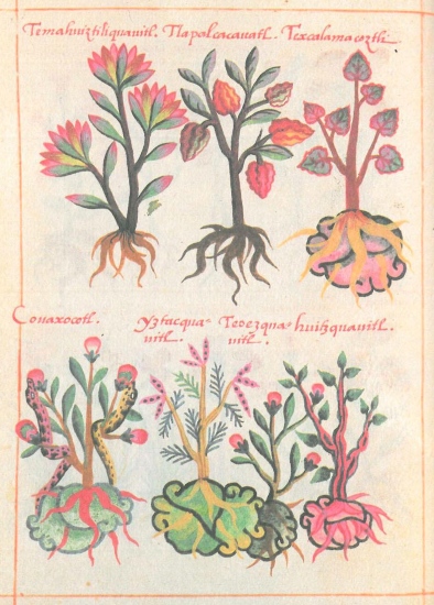 cosmovisión agrícola